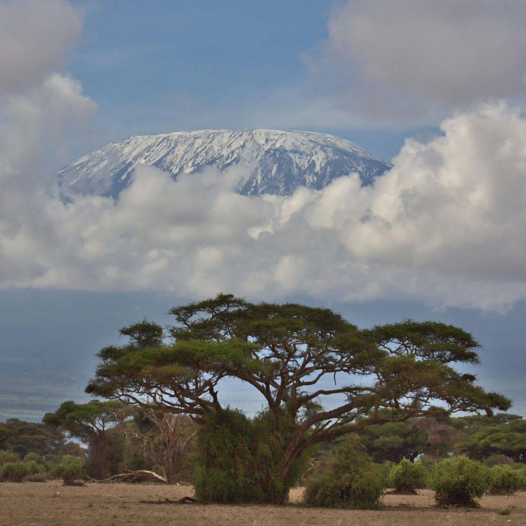 kilimanjaro2