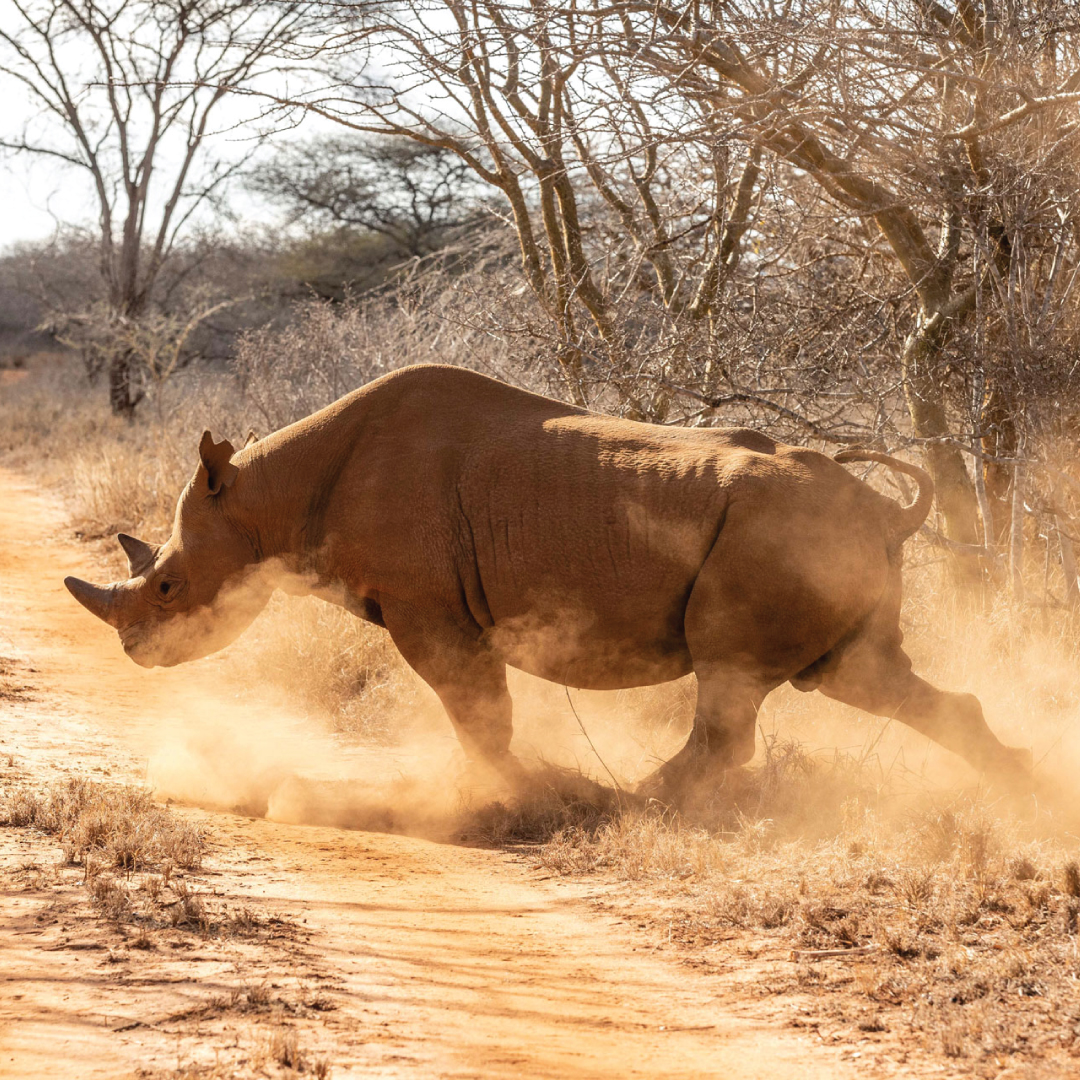 lake_manyara4