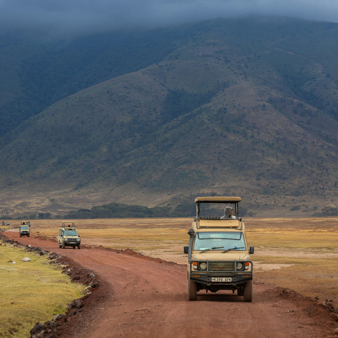 ngorongoro