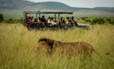 7-Day Mara River Migration Luxury Safari