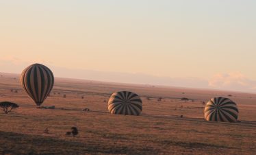 8-Day Honeymoon Mid-Range Northern Tanzania Safari and Zanzibar Beach Holidays