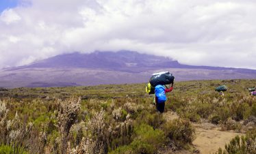   8-Day Mount Kilimanjaro Climb: Lemosho Route