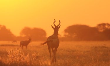 5-Day Beyond the Beaten Path: Tanzania Luxury Adventure