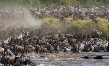 9-Day Tanzania Wildebeest Migration Safari
