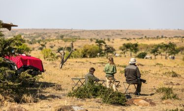 Rally your crew for a Tanzanian safari that’s all about connection! Kid-friendly lodges, thrilling wildlife quests, and vibrant cultural stops spark joy for every age. Laugh, explore, and make memories under Africa’s endless skies.