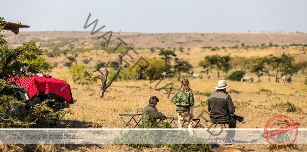 Rally your crew for a Tanzanian safari that’s all about connection! Kid-friendly lodges, thrilling wildlife quests, and vibrant cultural stops spark joy for every age. Laugh, explore, and make memories under Africa’s endless skies.