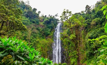 Materuni Waterfall & Coffee Tour Day Trip